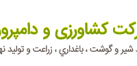 «زفجر» یک‌میلیون و ۲۸۰ هزار خریدار داشت