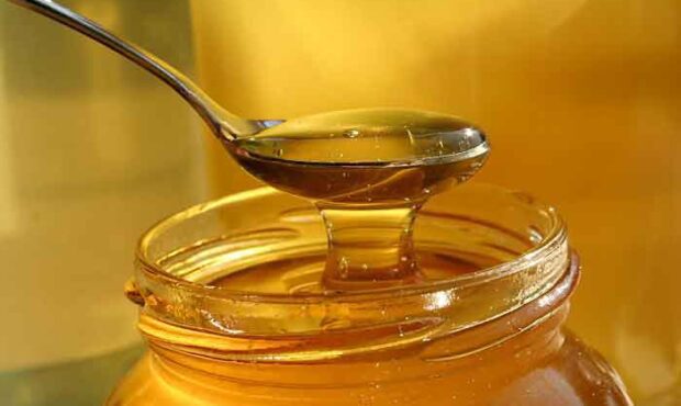 چه نوع عسلی برای درمان زخم بهتر است؟ + قیمت ها