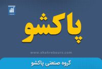 سهامداران پاکشو بخوانند/ دریافت زودهنگام سود سهام