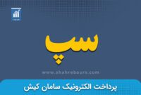 کدال سپ | کاهش 59 درصدی سود خالص شرکت