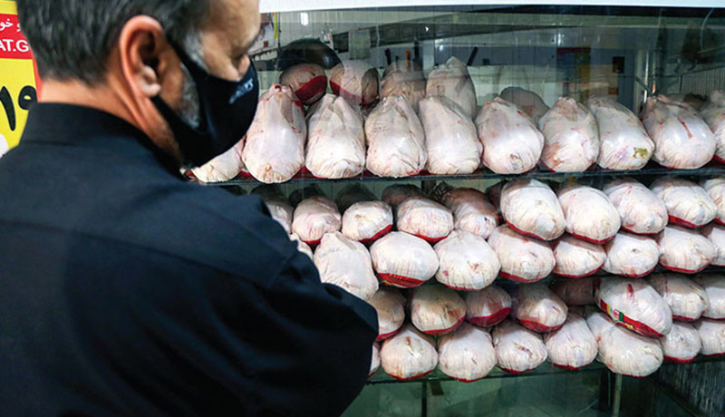 واردات گوشت مرغ آلوده به کشور کذب است