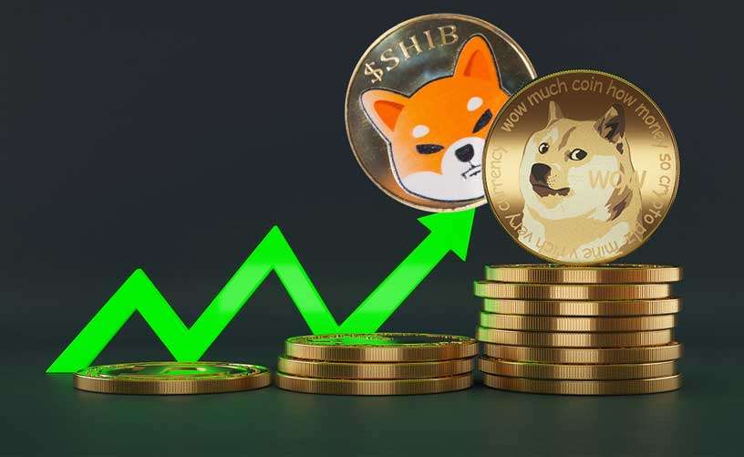 بیت کوین بهتر است یا دوج کوین؟