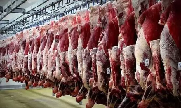 توزیع گوشت منجمد به قیمت دولتی آغاز شد