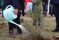 کاشت ۱۱۷ درخت برای کودکان بهبود یافته از سرطان