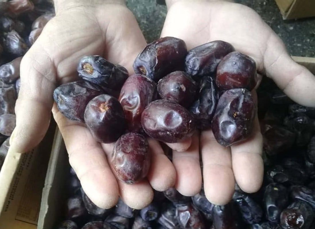 خرما