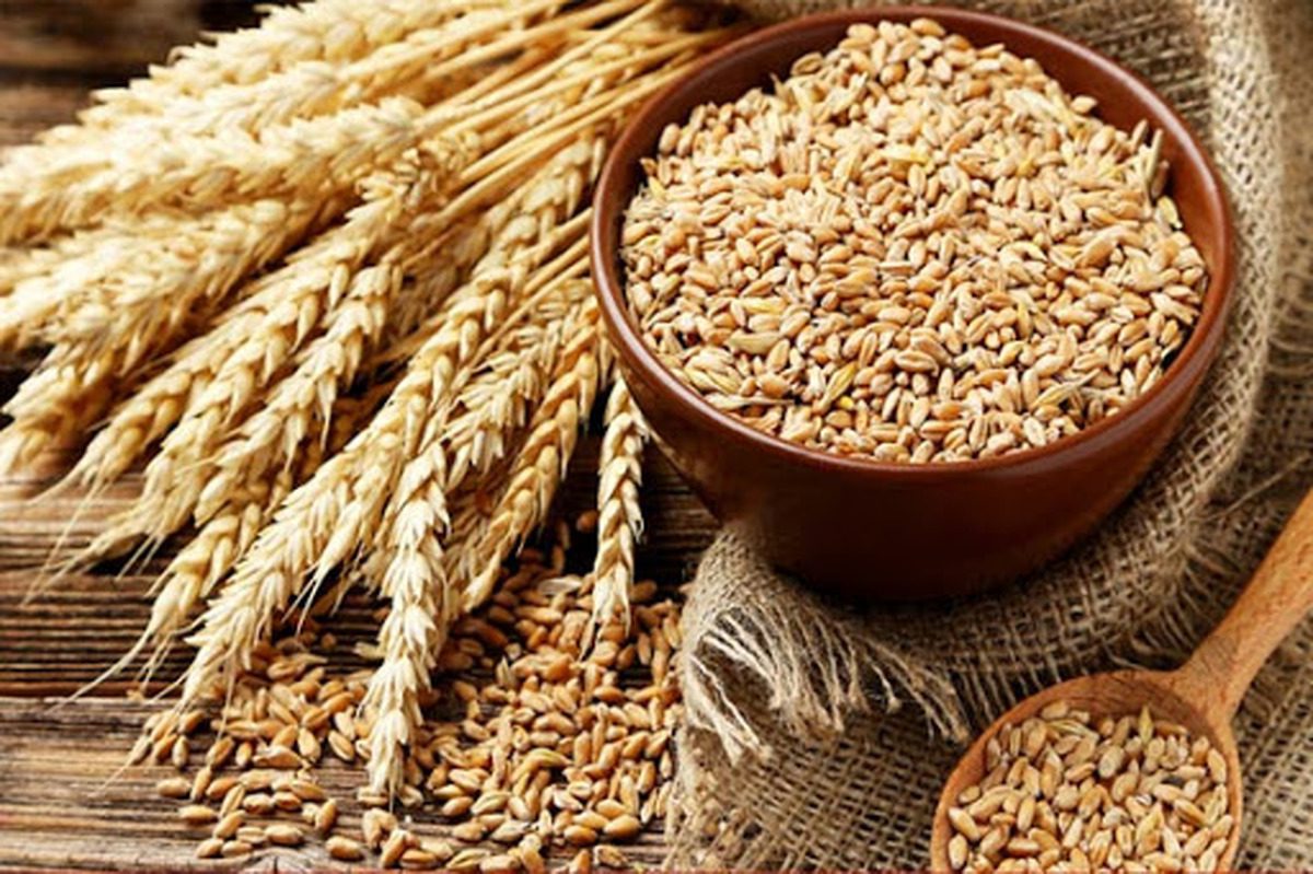 فطریه 1401 چقدر است؟