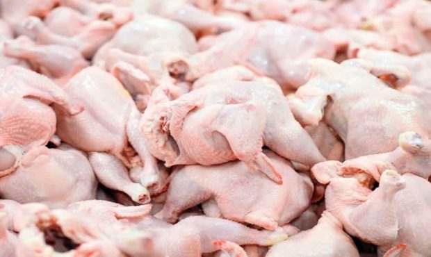 واردات گوشت مرغ آلوده به کشور کذب است