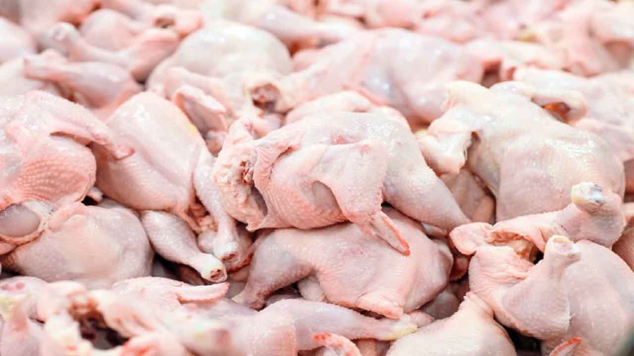 چگونه نوسانات بازار مرغ کاهش یافت؟
