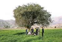 روایتی از وضعیت مردم روستای مال ملا بعد از سقوط سنگین بورس