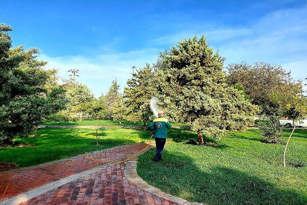 ایجاد 600 هکتار فضای سبز در سال آینده
