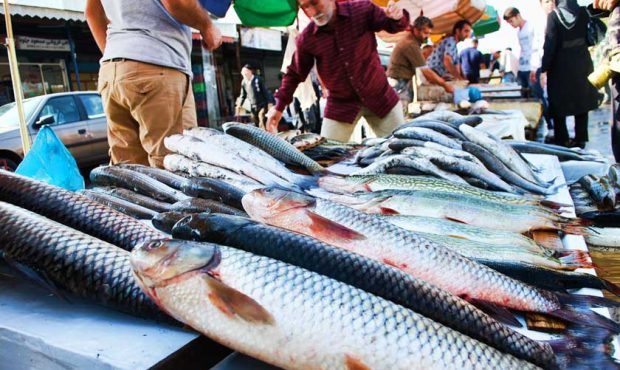 قیمت هر کیلو ماهی قزل آلا چند تومان است؟