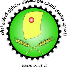 افزایش قیمت مرغ حتمی شد؟