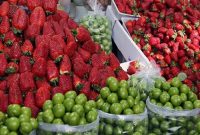 عدم کاهش قیمت میوه در فصل برداشت