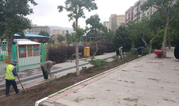 درختان پارک شمس تبریزی  به کلانتر باغی انتقال یافته است