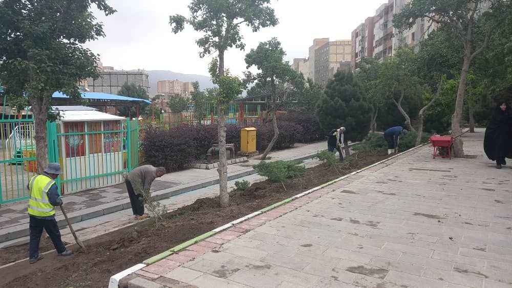 درختان پارک شمس تبریزی به کلانتر باغی انتقال یافته است