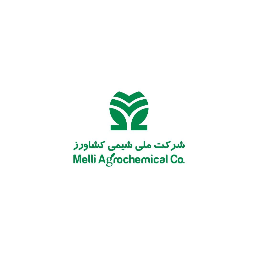 هیئت مدیره جدید شملی معرفی شد