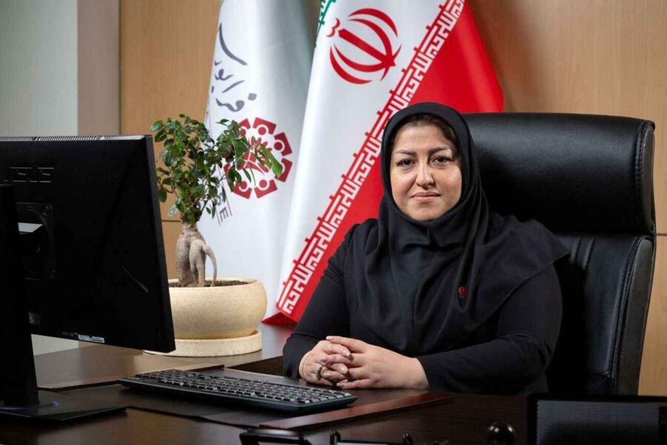 سهم شرکت ها از تامین مالی بازار سرمایه هم اکنون 20 درصد است