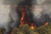 مهار آتش در منطقه حفاظت محیط زیست ارسباران
