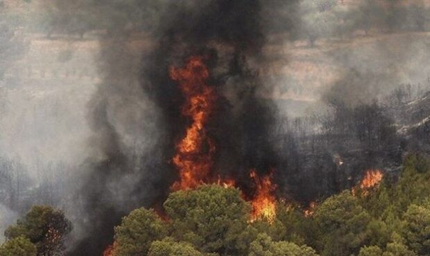مهار آتش در منطقه حفاظت محیط زیست ارسباران