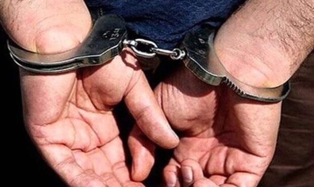 بازداشت سرشبکه هرمی سایت غیرقانونی ارز دیجیتال ترینوست در گلستان