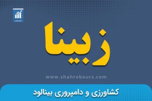 نماد زبینا | نماد بورسی شرکت کشاورزی و دامپروری بینالود