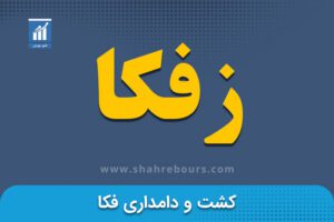 نماد زفکا | نماد بورسی شرکت فکا