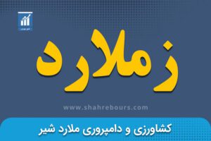 زملارد | نماد بورسی شرکت کشت و دامداری ملاردشیر