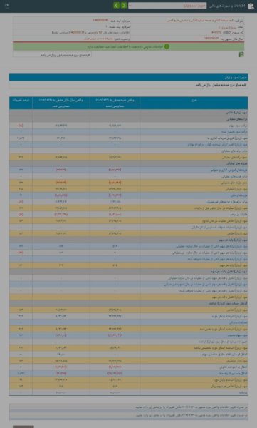 نگاهی به عملکرد سال مالی 1402 پترول