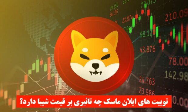 تغییرات عجیب قیمت شیبا چه ارتباطی با توییت های ایلان ماسک دارد؟