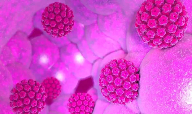 شیوع بیماری HPV تا بالای ۵۰ درصد گزارش شده است