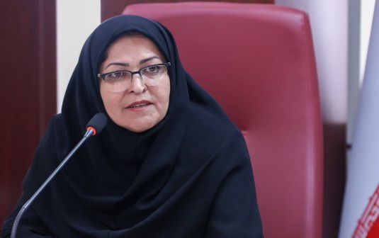 بیوگرافی فرزانه انصاری