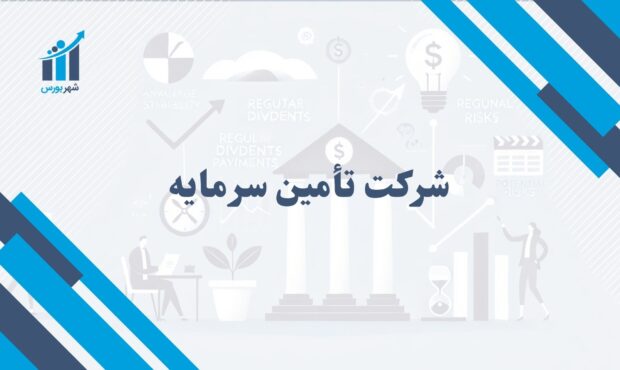 شرکت تأمین سرمایه چیست؟ | بررسی نقش و اهمیت آن در بازار مالی