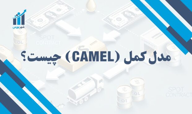 مدل کمل چیست؟ | آشنایی با مدل ارزیابی عملکرد بانک‌ها