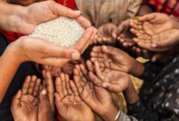 گرسنگی جهانی در سال ۱۴۰۳ به اوج رسید؛ بحران غذا در ۵۳ کشور