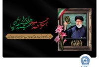 خادم‌الرضا بود، شهید خدمت شد