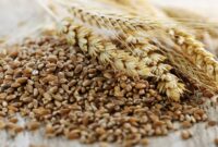 قیمت جدید سبوس گندم اعلام شد