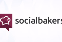 Socialbakers | داده‌ها را به درآمد تبدیل کنید