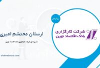ارسلان محتشم امیری کیست؟ بیوگرافی مدیرعامل شرکت کارگزاری بانک اقتصاد نوین
