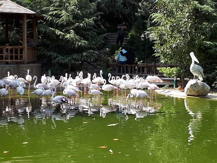 باغ پرندگان تهران