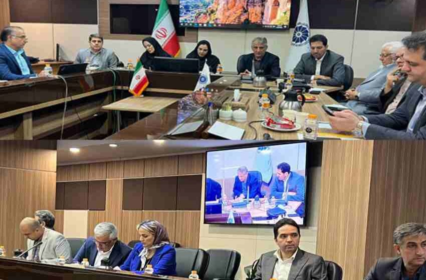 نظام توزیع یارانه‌ ها دچار آشفتگی است