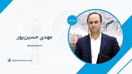 مهدی حسین‌پور کیست؟ بیوگرافی مدیرعامل جدید پامیدکو