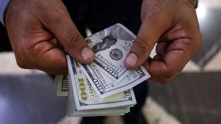 قیمت دلار امروز ۸ بهمن ۱۴۰۴ چند شد؟ + جدول قیمت ارزهای رسمی امروز 120810