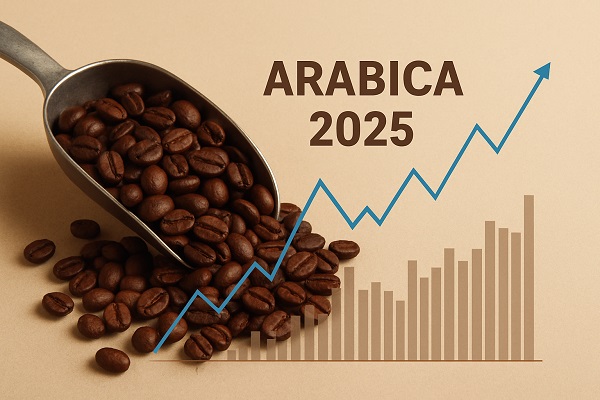 تحلیل قیمت قهوه: عربیکا، 2025