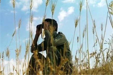 محیط بان 02 ak7123 1200x800 1