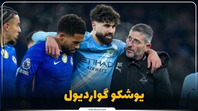 دستاوردها و نقش یوشکو گواردیول در حوزههای مختلف