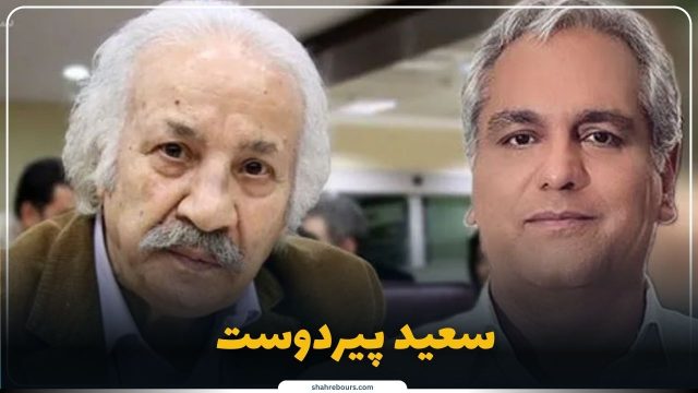 سوابق حرفه‌ای سعید پیردوست