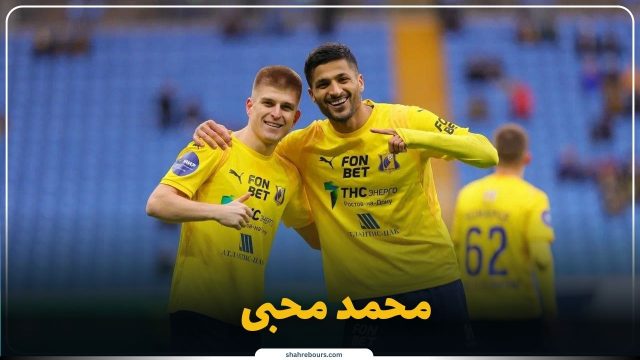 بیوگرافی محمد محبی